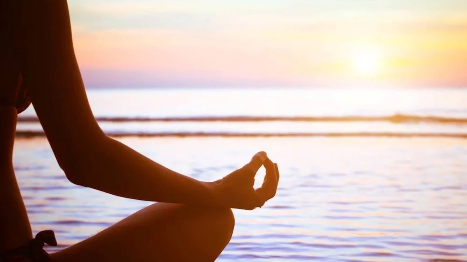 Body Intelligence Coaching